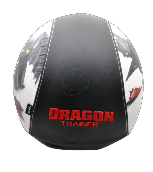 Casco Dragon Trainer